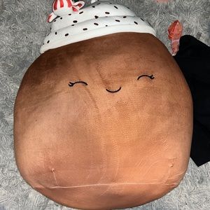 new squishmallow with tag
